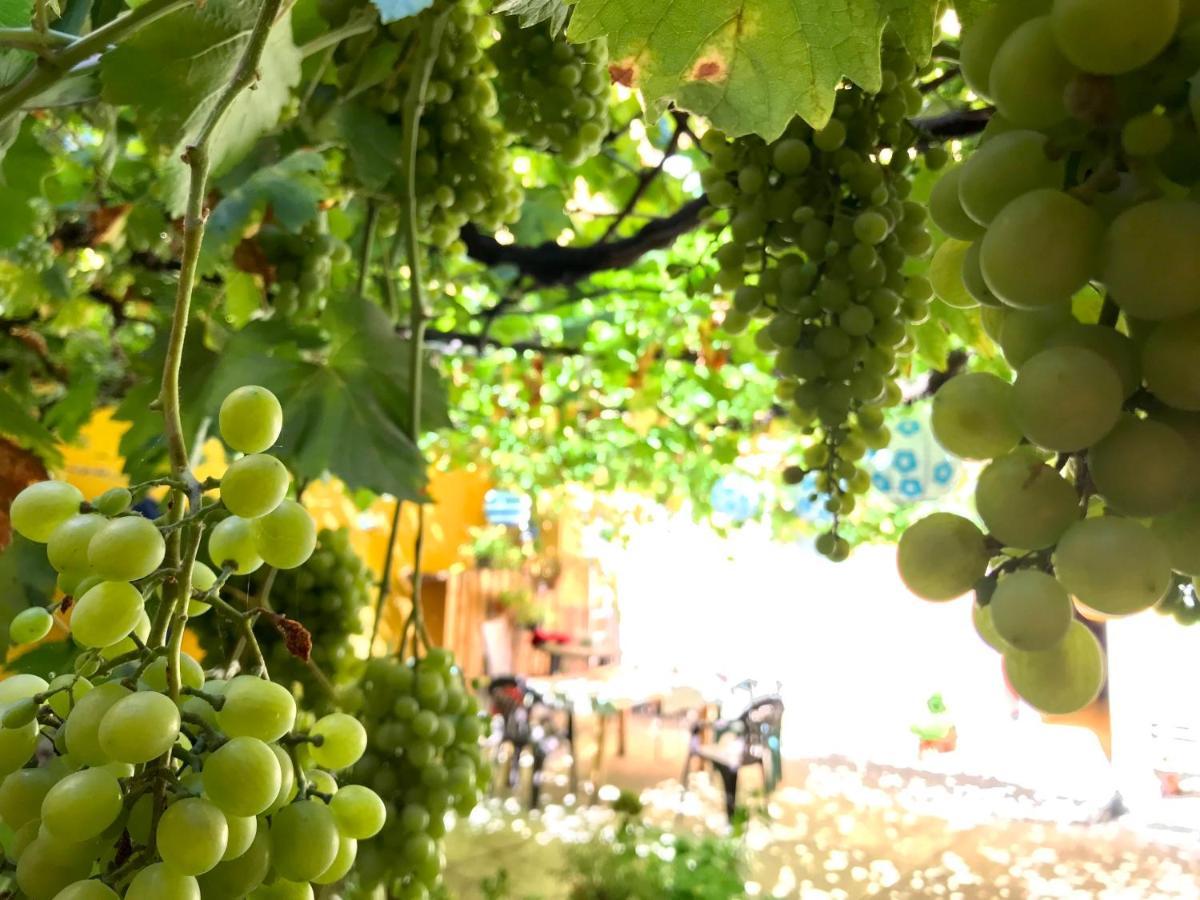 Apartment Olivar Madrid Kültér fotó